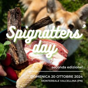 spignatters day